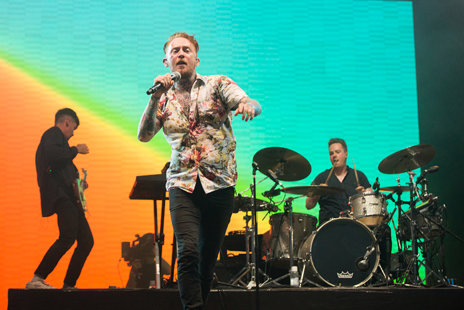 the wombats